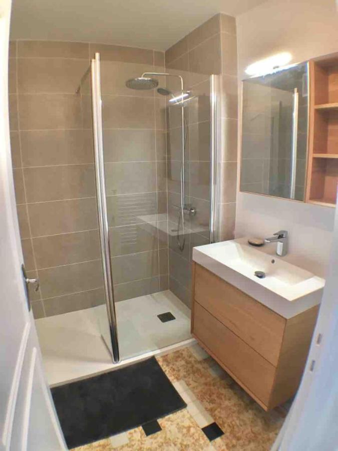 Annecy Center 2 Steps From The Lake Cozy And Renovated! المظهر الخارجي الصورة