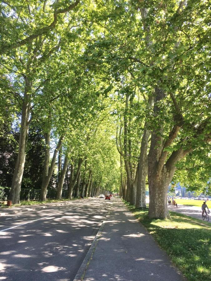 Annecy Center 2 Steps From The Lake Cozy And Renovated! المظهر الخارجي الصورة