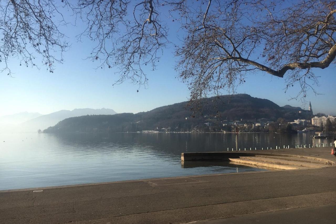 Annecy Center 2 Steps From The Lake Cozy And Renovated! المظهر الخارجي الصورة